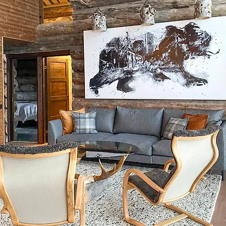 Вилла Karhunkelo - Sis 2 Kpl Hissilippuja *